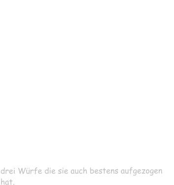 Hier eines meiner Lieblingsfoto von 2007,  von L nach R,  Unser Com-Barry vom Kupferglckchen (Dt.CH VDH-DCBS, Vet.CH DCBS) im Januar 2012 mit 11,4 Jahren leider verstorben,   Frl. Amelie vom Kupferglckchen unsere erste Zuchthndin und Grundstock unserer Zucht, sie schenkte uns vier tolle Wrfe und war mit ihren knapp 11 Jahren immer noch der Wirbelwind in unserem Rudel,  Jossy vom Ziegelhttenhof (unser Jule, eine Tochter von Barry) ist mit 9,5 Jahren an Magendrehung verstorben, mit ihr hatten wir  drei Wrfe die sie auch bestens aufgezogen hat.