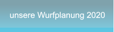 unsere Wurfplanung 2020 unsere Wurfplanung 2020